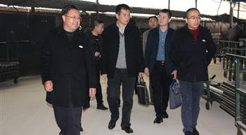 电子游戏平台app