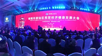 电子游戏平台app