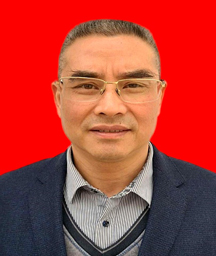 电子游戏平台app