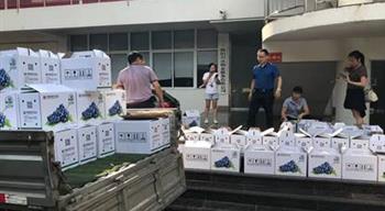 电子游戏平台app