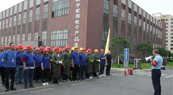 电子游戏平台app