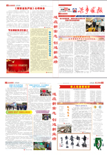 电子游戏平台app