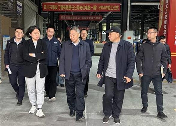 电子游戏平台app